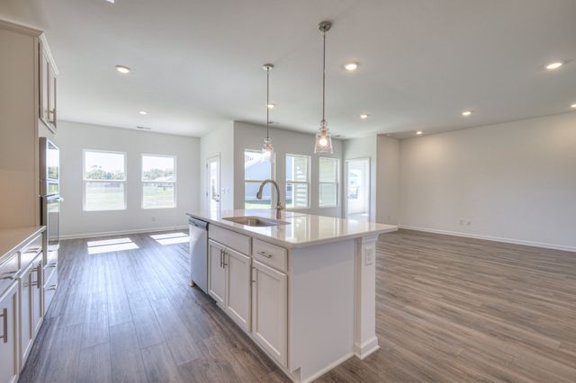 133 Pops Place, White House, TN 37188