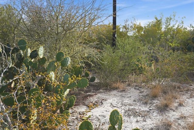 00 Ranger Dr, Sandia, TX 78383