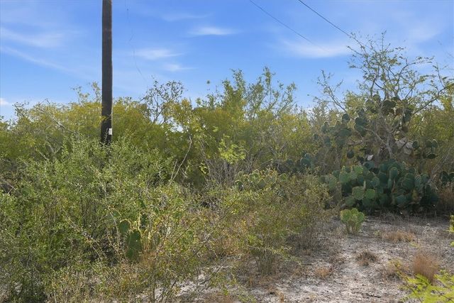 00 Ranger Dr, Sandia, TX 78383