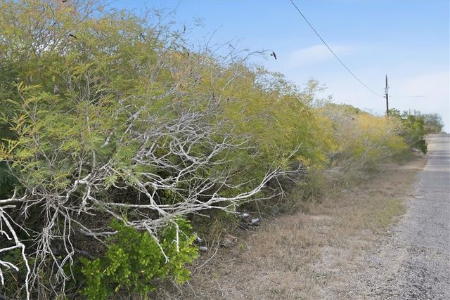 00 Ranger Dr, Sandia, TX 78383