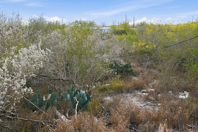 00 Ranger Dr, Sandia, TX 78383