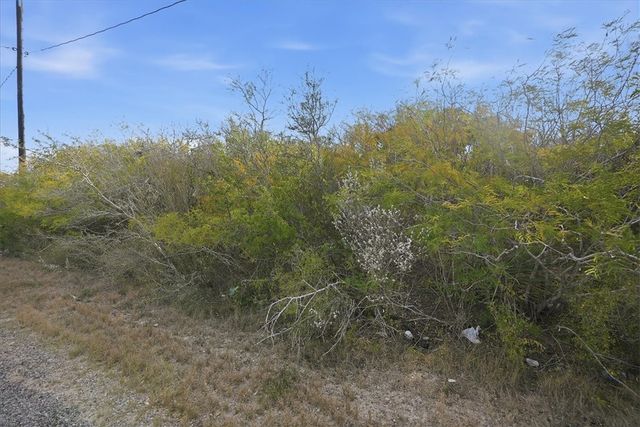 00 Ranger Dr, Sandia, TX 78383