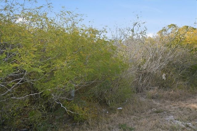 00 Ranger Dr, Sandia, TX 78383