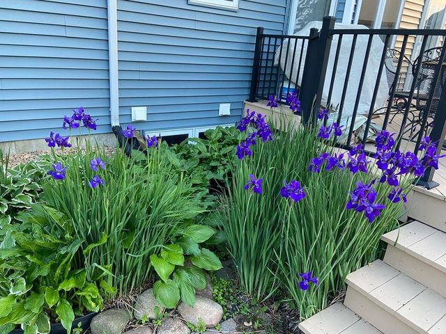 2717 59th Street NW, Rochester, MN 55901