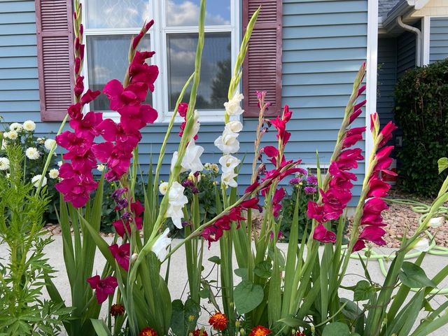 2717 59th Street NW, Rochester, MN 55901