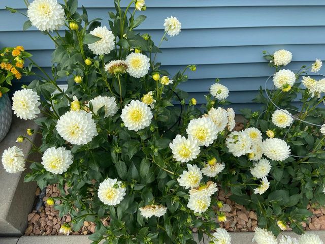 2717 59th Street NW, Rochester, MN 55901