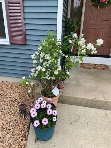 2717 59th Street NW, Rochester, MN 55901