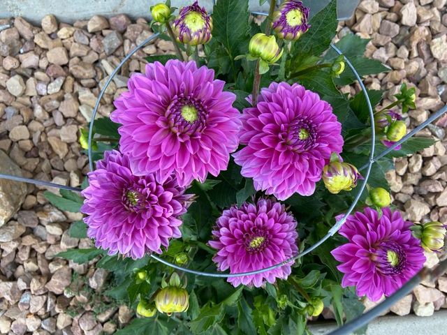 2717 59th Street NW, Rochester, MN 55901