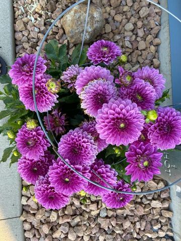 2717 59th Street NW, Rochester, MN 55901