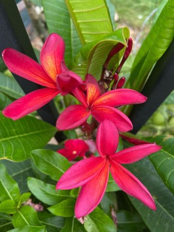 2717 59th Street NW, Rochester, MN 55901