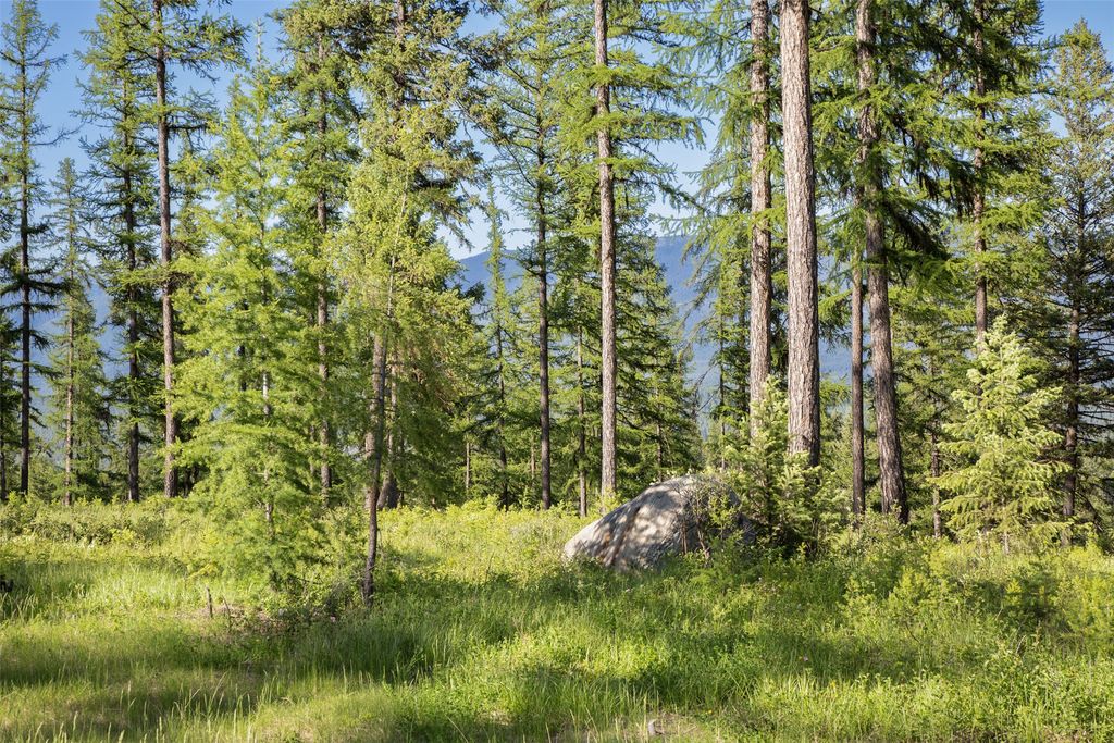 2600 Mountain Home Lot 17 Road, Whitefish, MT 59937 photo 6