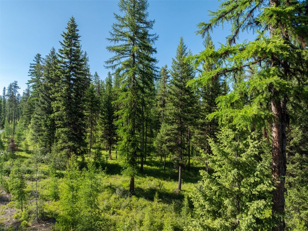 2600 Mountain Home Lot 17 Road, Whitefish, MT 59937 photo 8