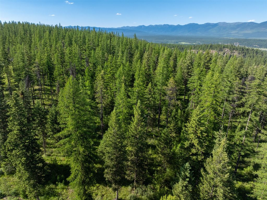 2600 Mountain Home Lot 17 Road, Whitefish, MT 59937 photo 9