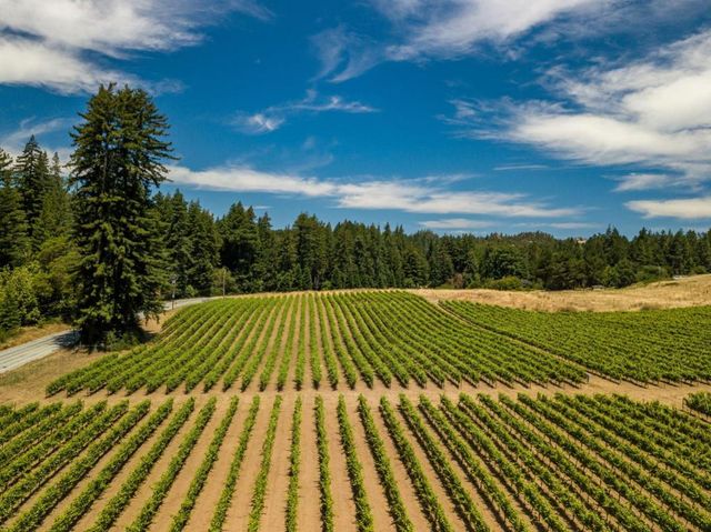 471 Country Estates Terrace, Santa Cruz, CA 95060