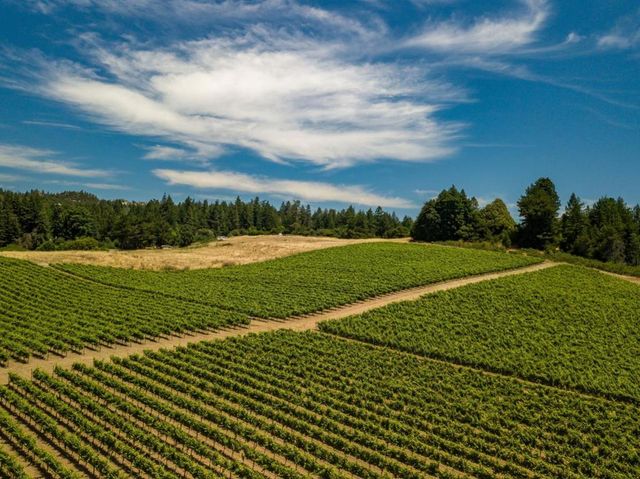 471 Country Estates Terrace, Santa Cruz, CA 95060