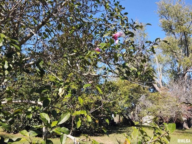 901 LOCUST Street, Vienna, IL 62995