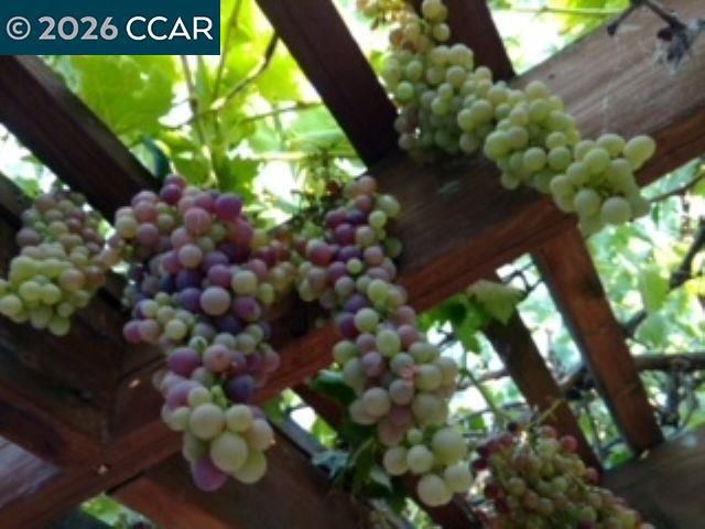 4153 S Royal Links Cir, Antioch, CA 94509