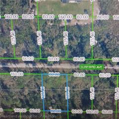 3312 Surbird Avenue, Lake Placid, FL 33852