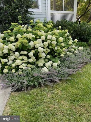 6815 DELAWARE ST, Chevy Chase, MD 20815