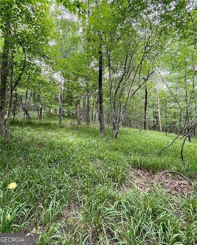 55 Sweetwater Way, Lula, GA 30554