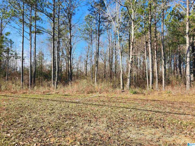 0 BONNIEVILLE DRIVE, Calera, AL 35040