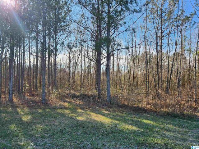 0 BONNIEVILLE DRIVE, Calera, AL 35040