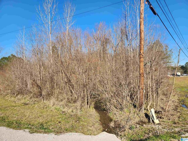 0 BONNIEVILLE DRIVE, Calera, AL 35040