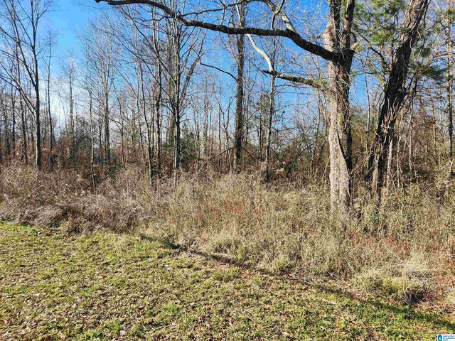 0 BONNIEVILLE DRIVE, Calera, AL 35040