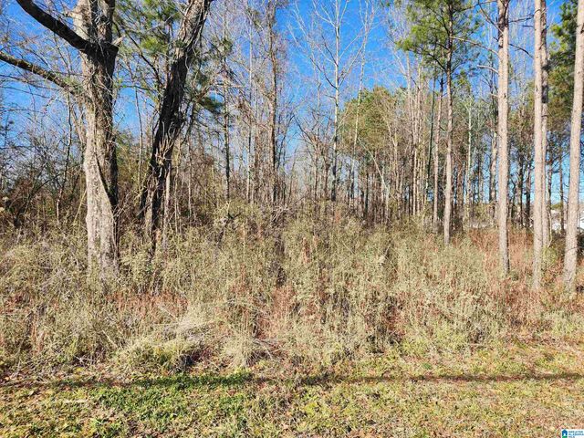 0 BONNIEVILLE DRIVE, Calera, AL 35040