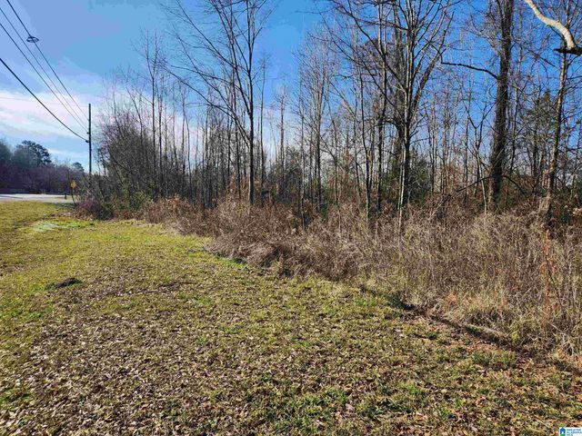 0 BONNIEVILLE DRIVE, Calera, AL 35040