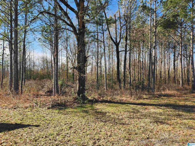 0 BONNIEVILLE DRIVE, Calera, AL 35040