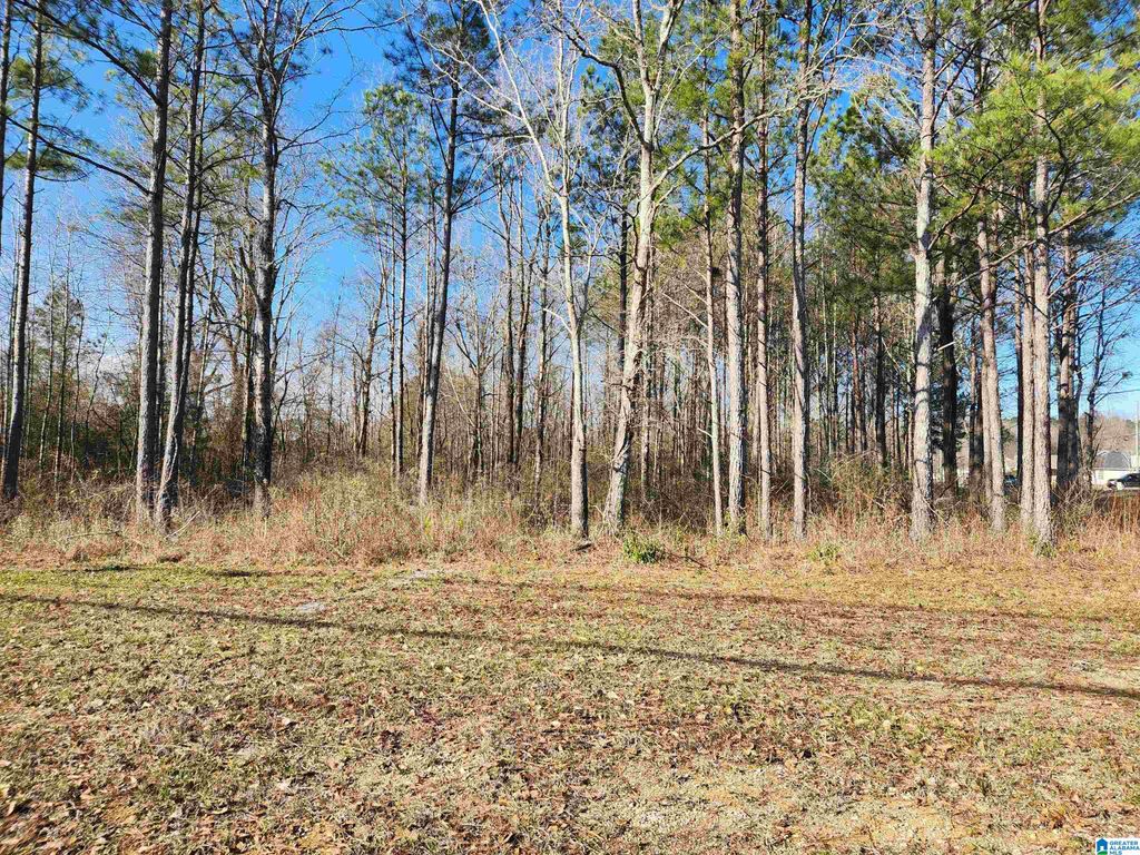 0 BONNIEVILLE DRIVE, Calera, AL 35040