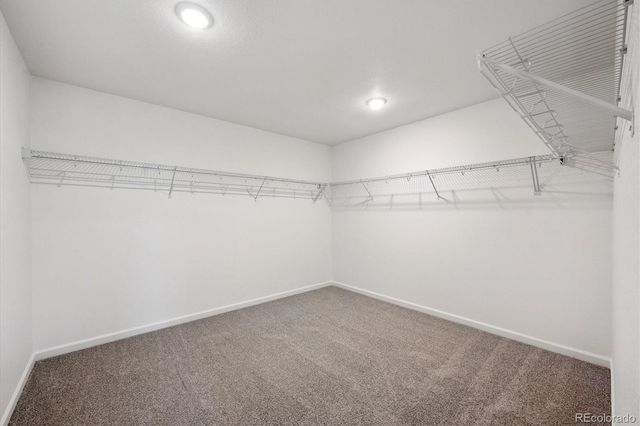 5840 Brangus Drive, Windsor, CO 80528