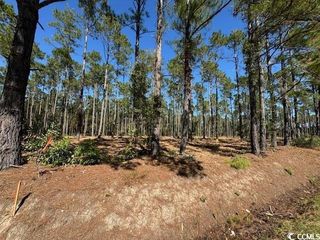TBD Salem Rd., Aynor, SC 29511