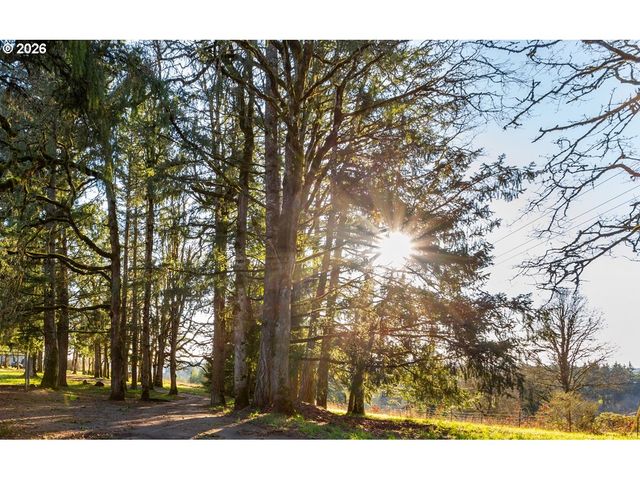 4210 Ne Breyman Orchards Rd, Dayton, OR 97114