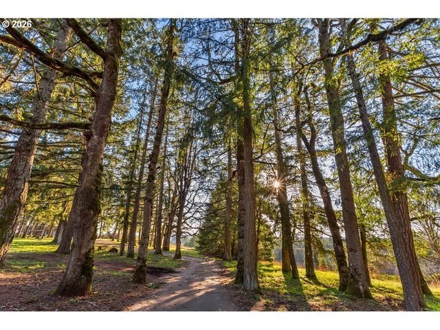 4210 Ne Breyman Orchards Rd, Dayton, OR 97114