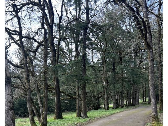 4210 Ne Breyman Orchards Rd, Dayton, OR 97114