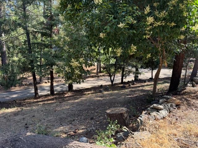 817 Timber Hills Rd, Colfax, CA 95713