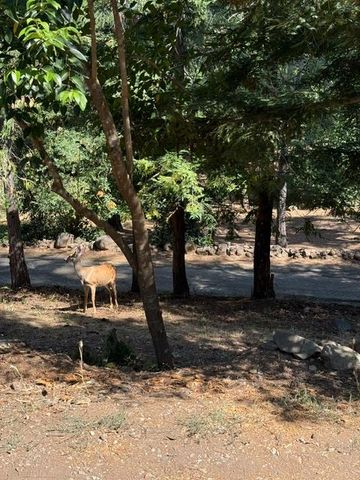 817 Timber Hills Rd, Colfax, CA 95713