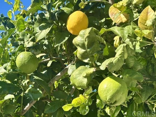 2445 S. Stage Coach Ln., Fallbrook, CA 92028