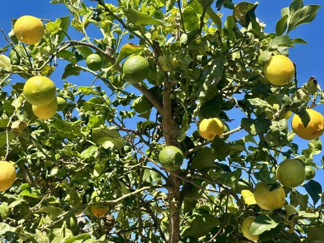 2445 S. Stage Coach Ln., Fallbrook, CA 92028