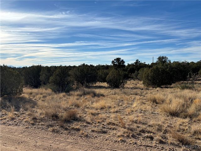 0000 Dubois Dr, Kingman, AZ 86401