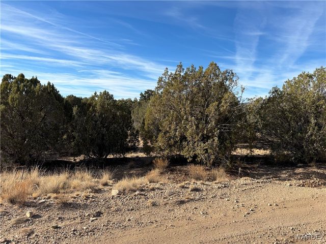 0000 Dubois Dr, Kingman, AZ 86401