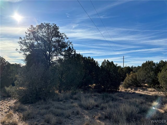 0000 Dubois Dr, Kingman, AZ 86401