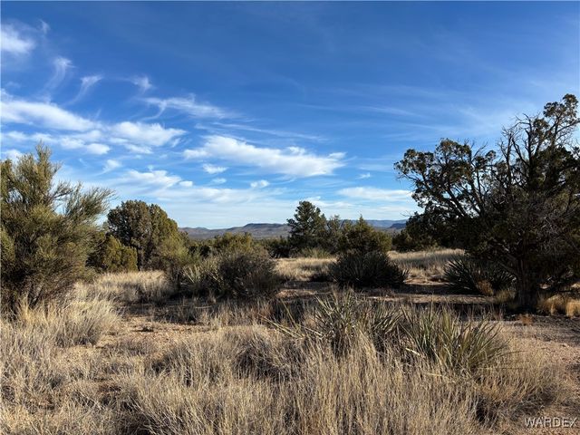 0000 Dubois Dr, Kingman, AZ 86401