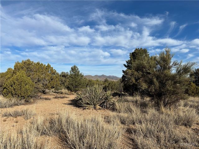 0000 Dubois Dr, Kingman, AZ 86401