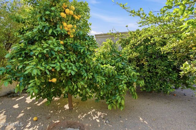 8944 E LAZYWOOD Place, Carefree, AZ 85377