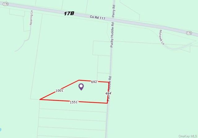 62 Pucky Huddle Road, Bethel, NY 12720