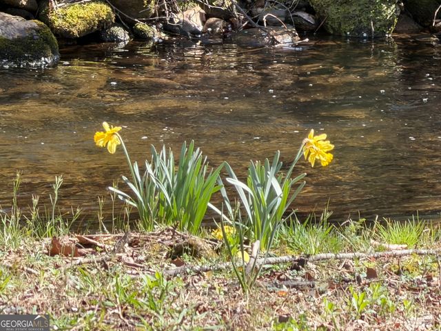 1162 Blacks Creek Drive, Clayton, GA 30525