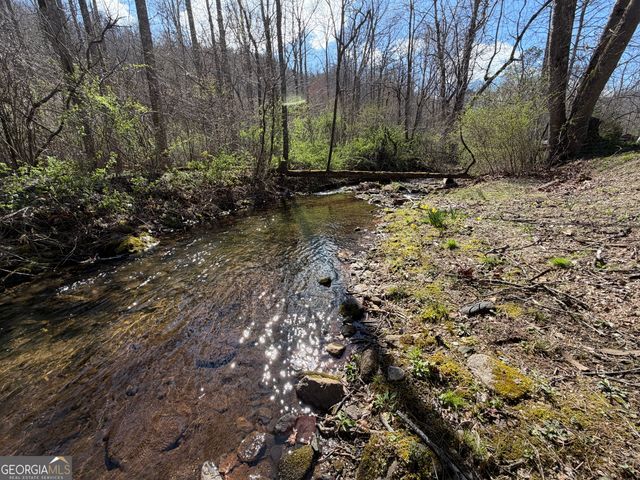 1162 Blacks Creek Drive, Clayton, GA 30525